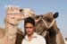 Man with Camels